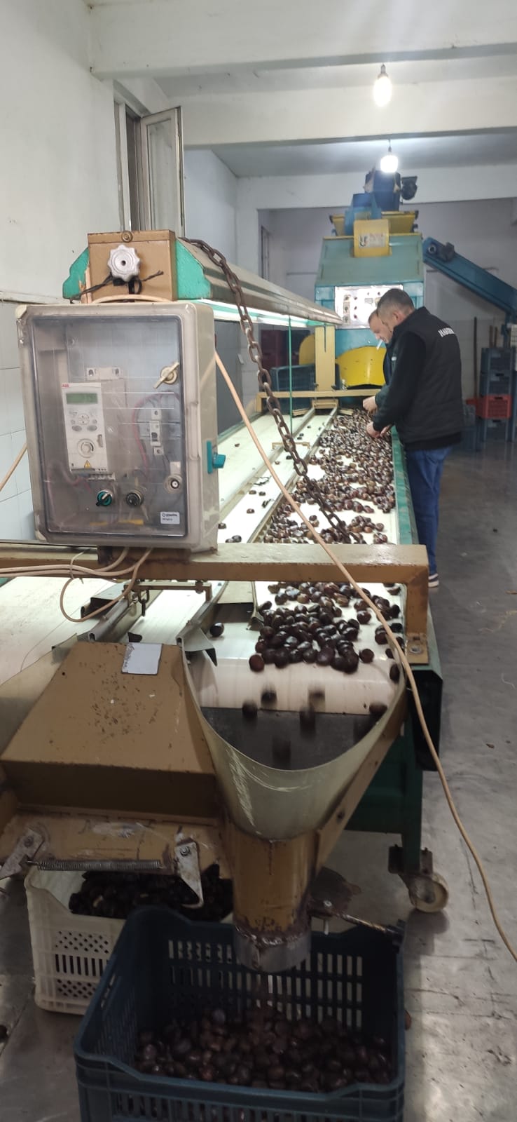 Whatsapp Image 2025 12 09 At 15.55.19