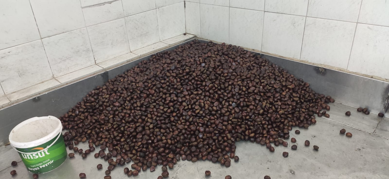 Whatsapp Image 2025 12 09 At 15.55.20