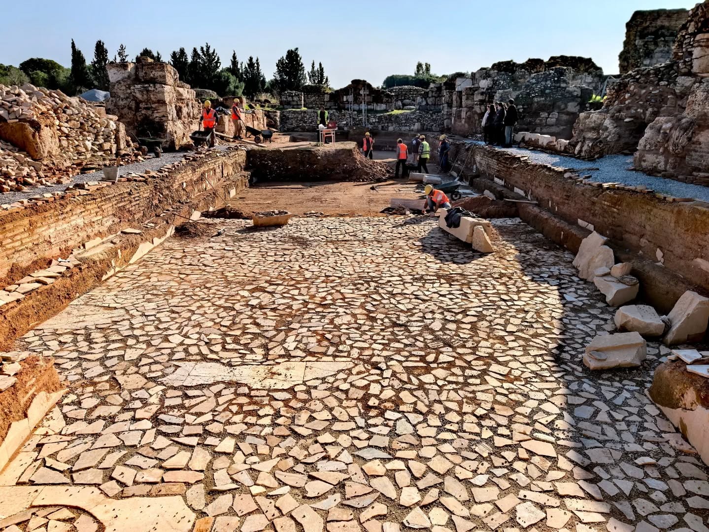 Whatsapp Image 2025 12 10 At 10.46.19