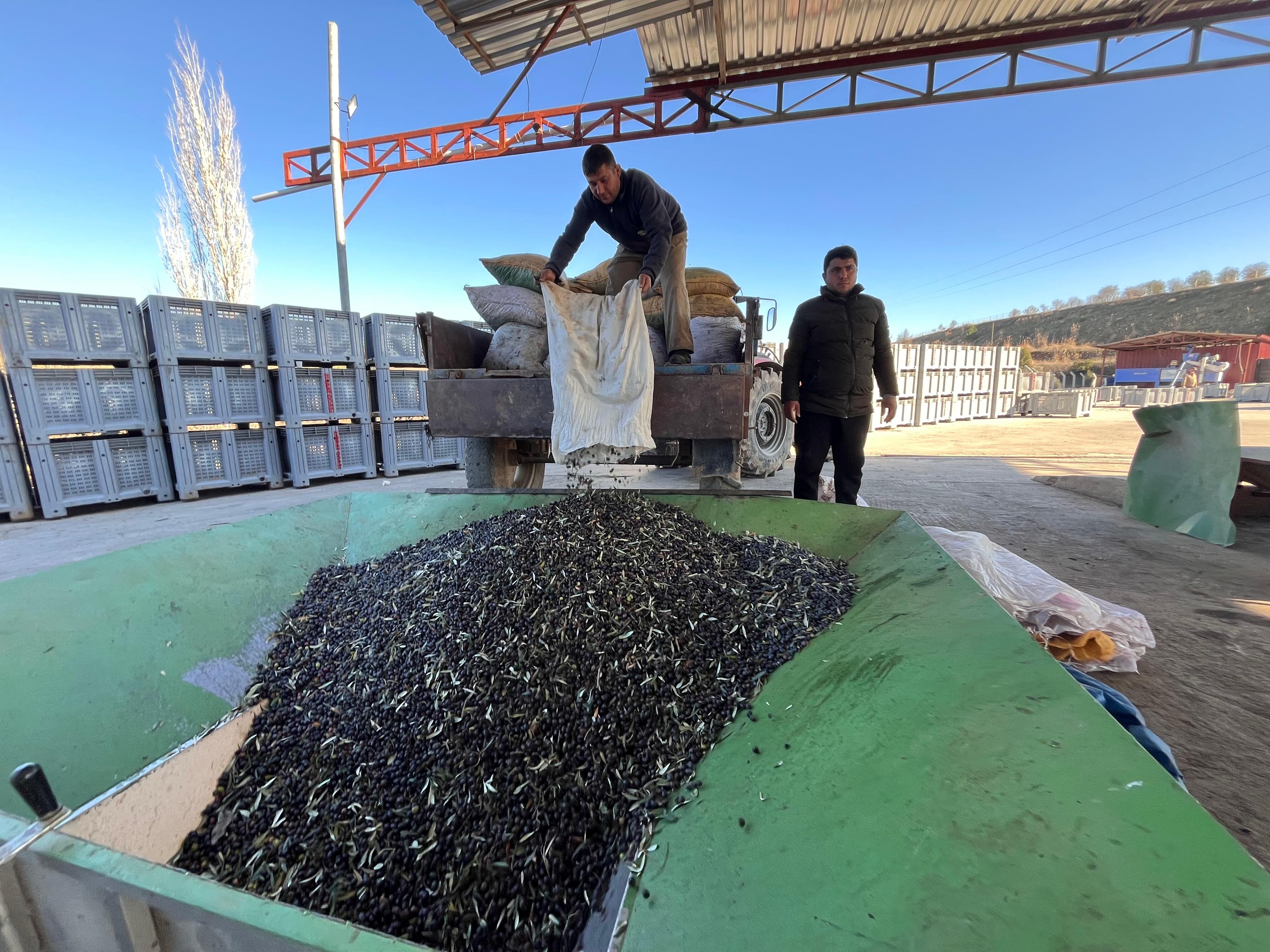 Whatsapp Image 2025 12 14 At 11.45.38 (1)