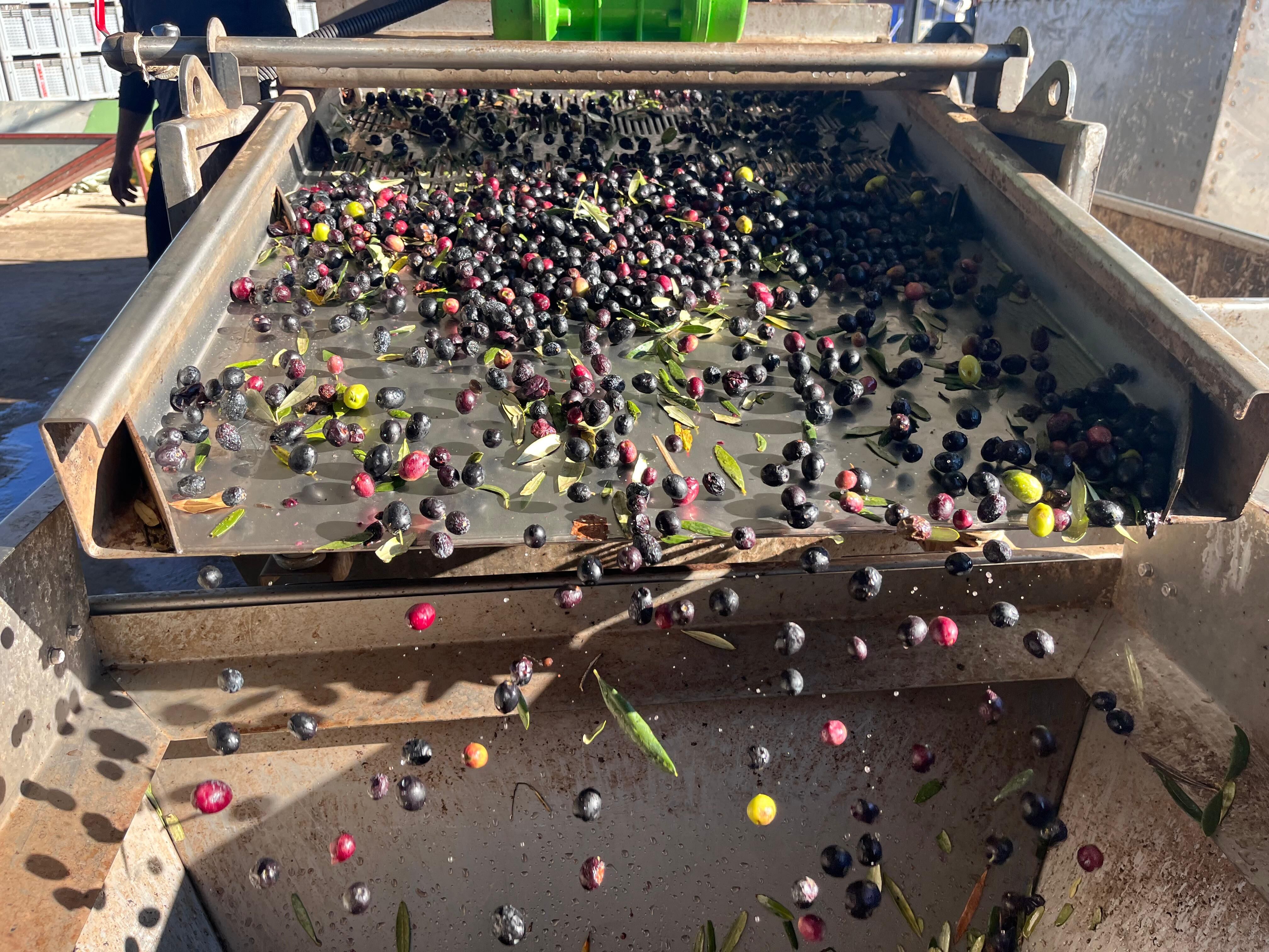 Whatsapp Image 2025 12 14 At 11.45.38