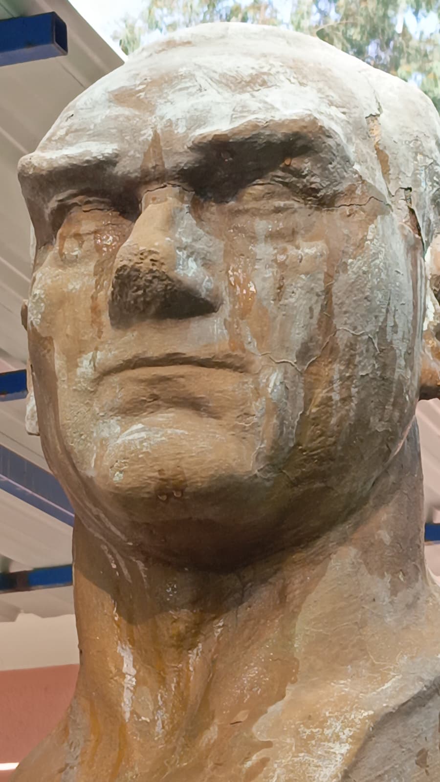 Whatsapp Image 2025 12 20 At 12.20.10