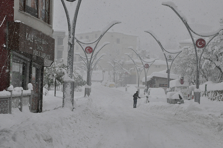 2026 01 01 20260102 2 72315634 120761495