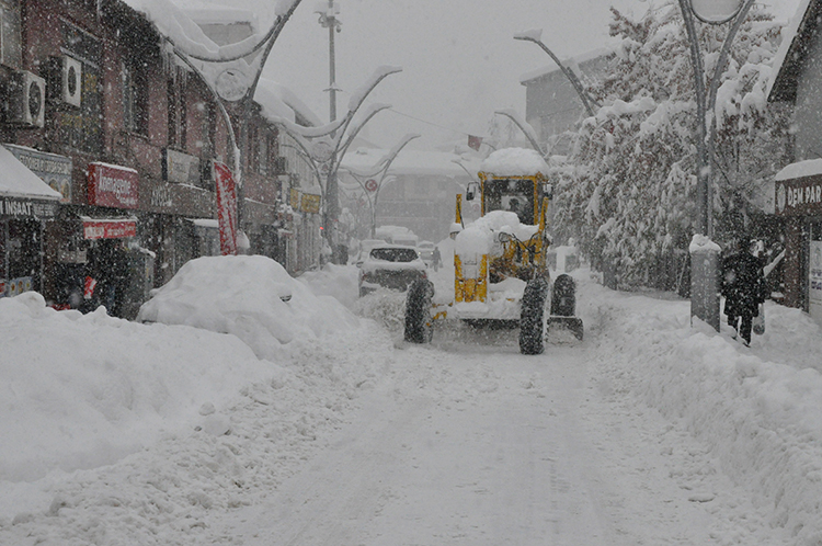 2026 01 01 20260102 2 72315634 120761498