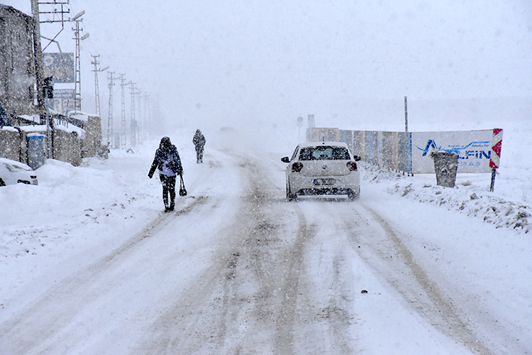 2026 01 01 20260102 2 72315843 120761952