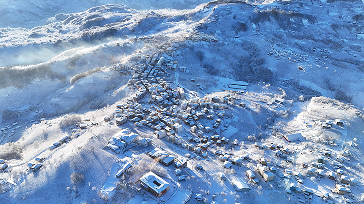 2026 01 01 20260102 2 72317008 120764990