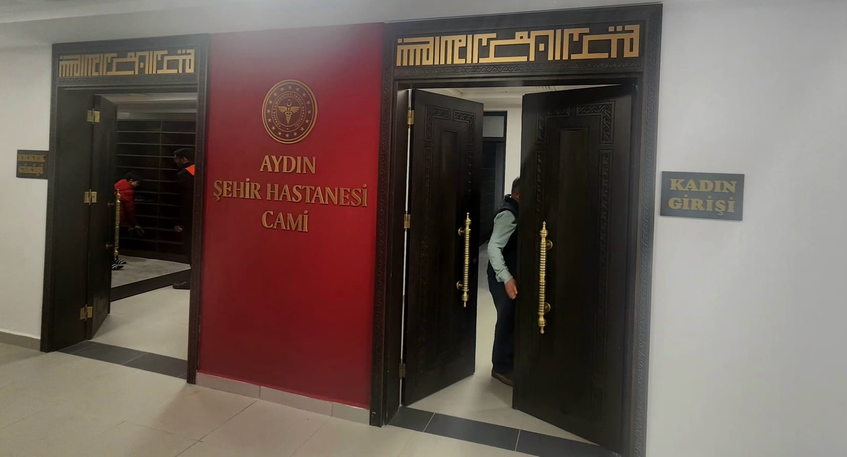 609149983 1184155207227946 1241928863641539722 N