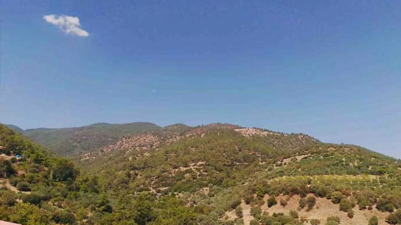 Aydın için uzman isimden flaş öneri: 'Belediyelerin bunu yapması gerek'