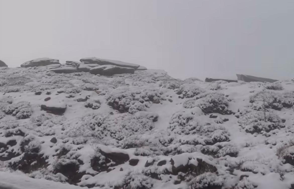 Çine’de Etkili Olan Yağmur Çiftçinin Yüzünü Güldürdü (3)