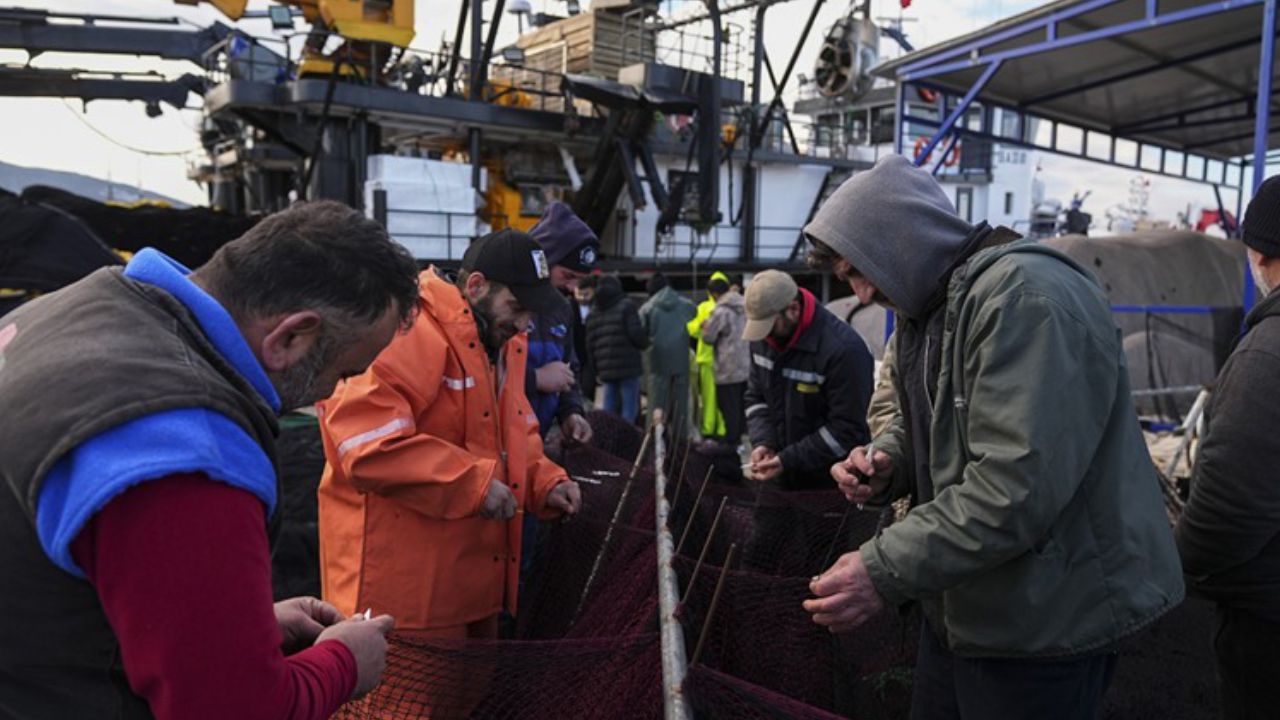 Karadeniz'de Hamsi, Ege'de Sardalya Bereketi2