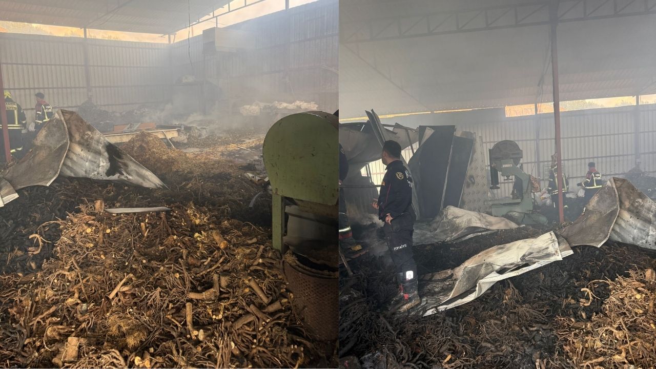 Nazilli'de Yangın Kanser Ilacı Ham Maddesi Üretiliyordu, Kül Oldu