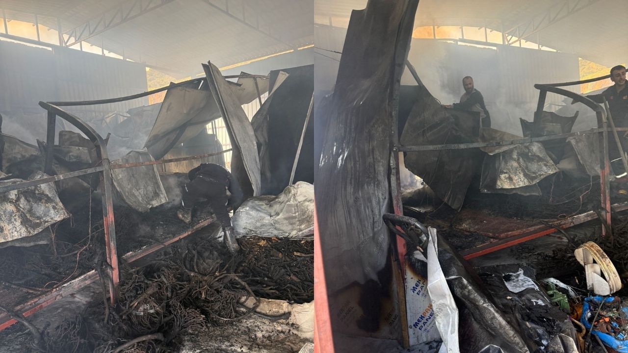 Nazilli'de Yangın Kanser Ilacı Ham Maddesi Üretiliyordu, Kül Oldu2