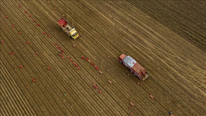 Tarım sezonu zorlu başladı: Yağışlarda dikkat çeken düşüş, gözler önümüzdeki aylarda