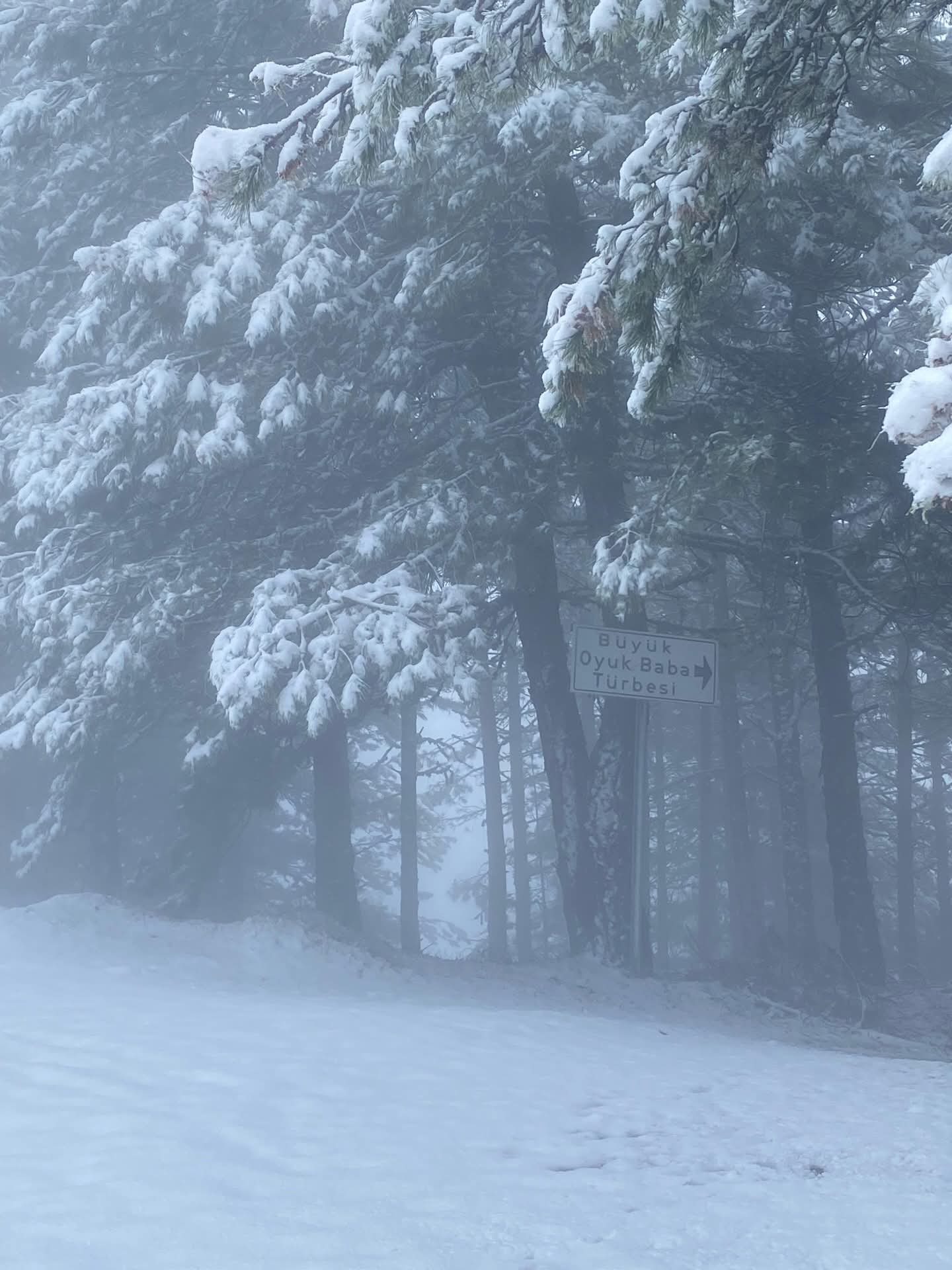 Whatsapp Image 2026 01 12 At 16.31.34 (1)