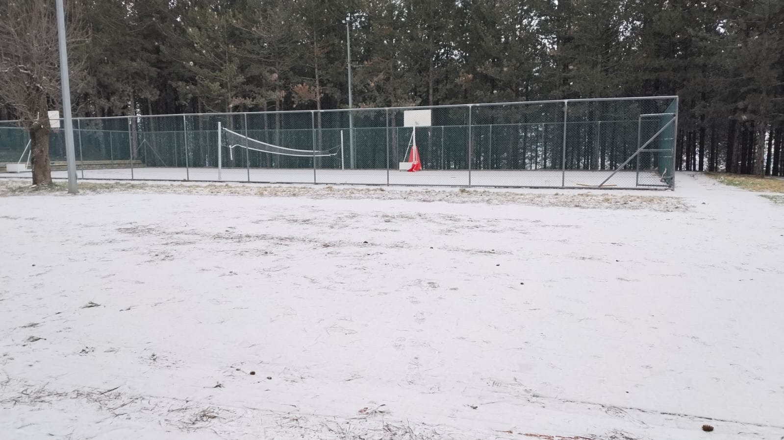 Whatsapp Image 2026 01 13 At 11.47.59 (1)