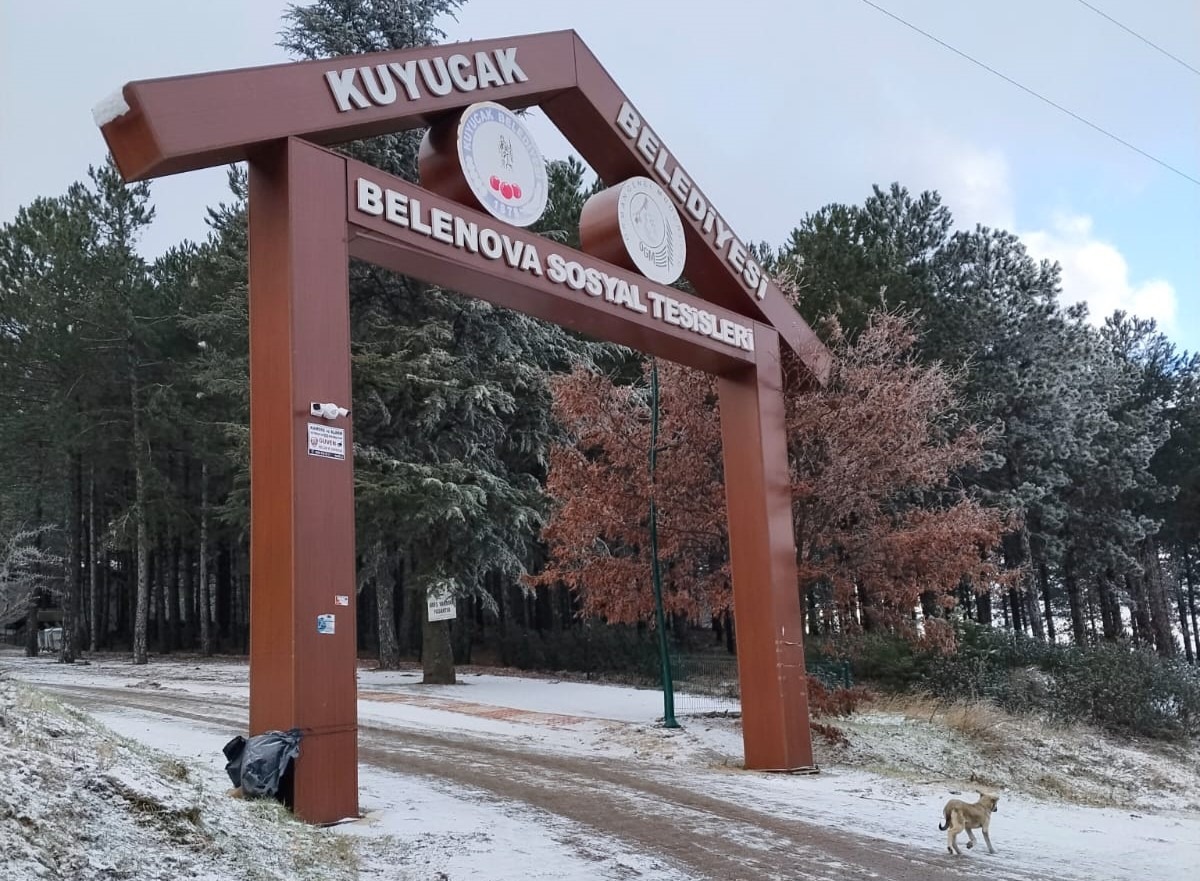 Whatsapp Image 2026 01 13 At 11.47.59