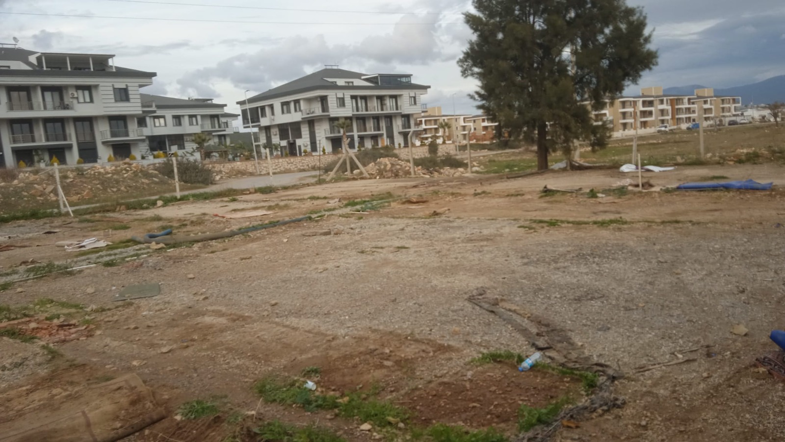 Whatsapp Image 2026 01 16 At 16.30.54 (1)