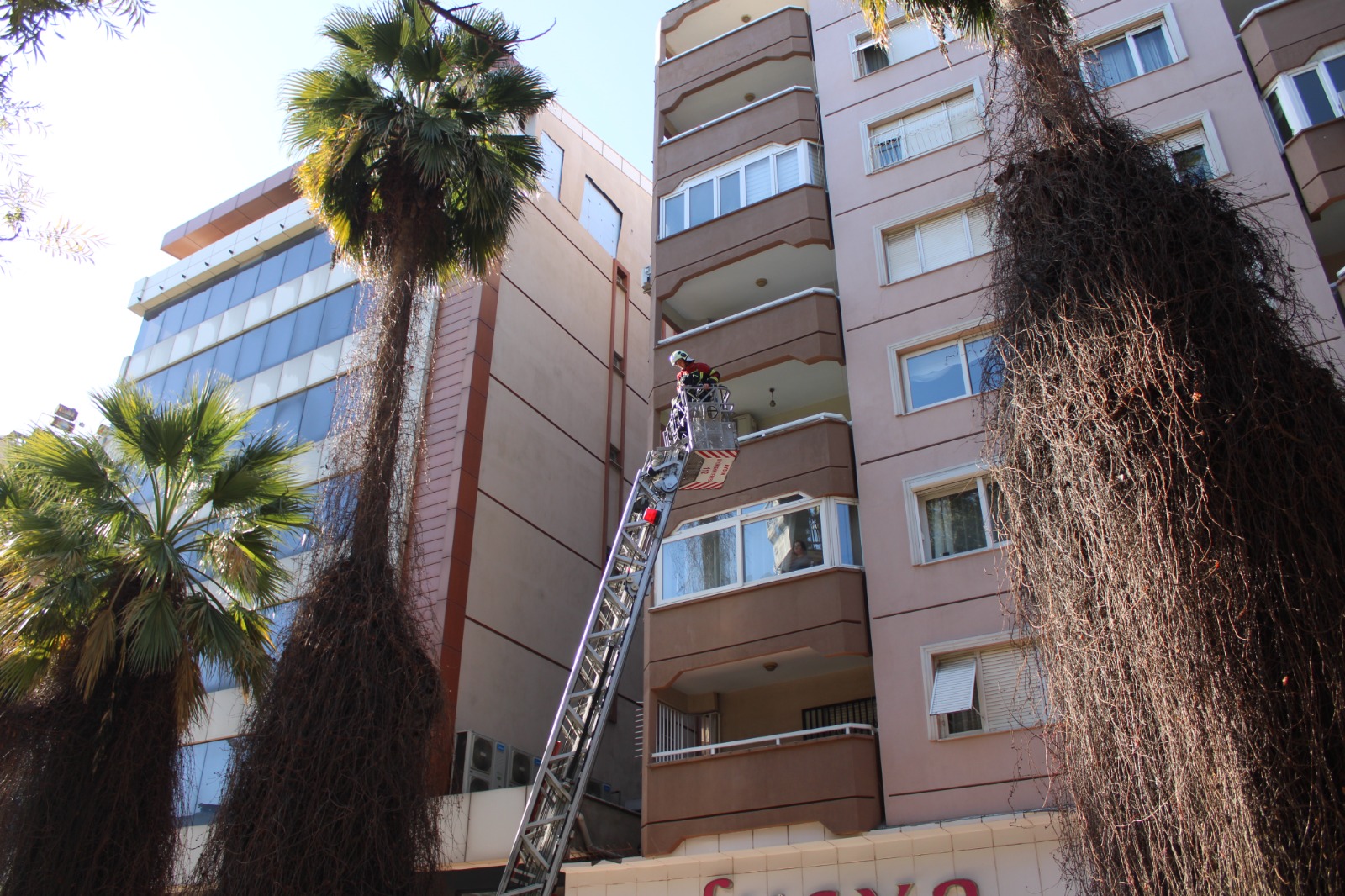 Whatsapp Image 2026 01 21 At 11.41.13