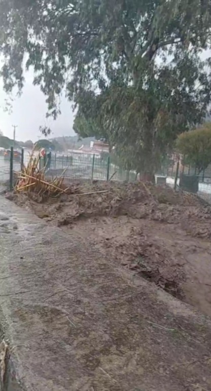 Whatsapp Image 2026 01 22 At 12.41.57