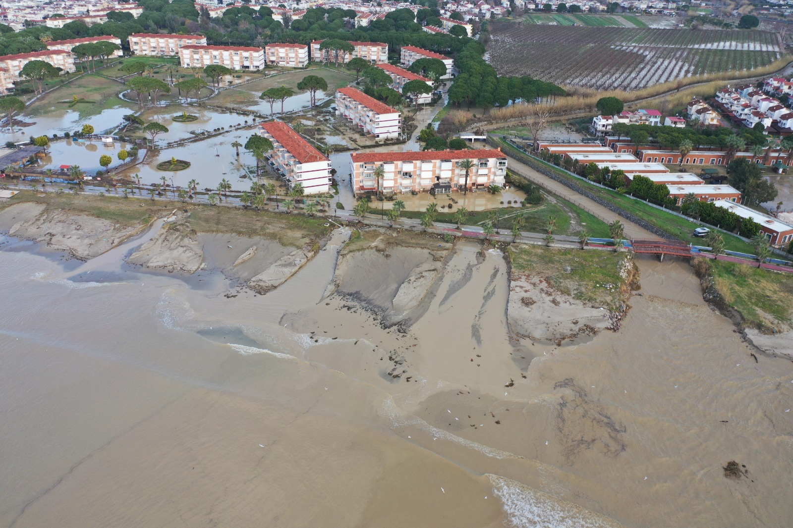 Whatsapp Image 2026 01 22 At 18.32.04 (1)