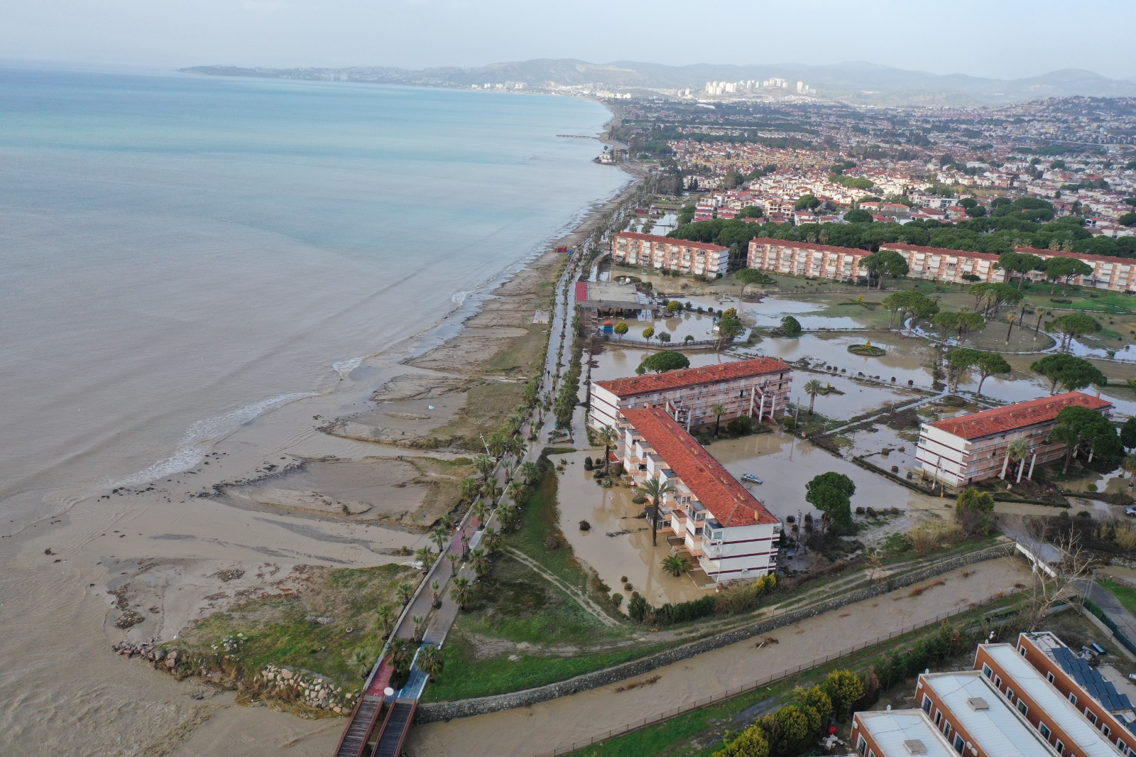 Whatsapp Image 2026 01 22 At 18.32.04 (2)