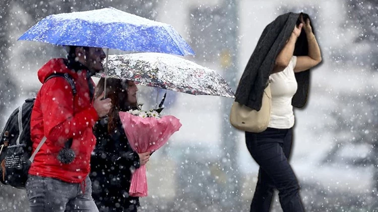 6915621Df52Fa63Cebdaf4E3