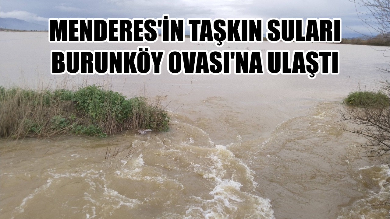 Aydın’da Büyük Menderes’in taşkın suları Burunköy Ovası’na ulaştı