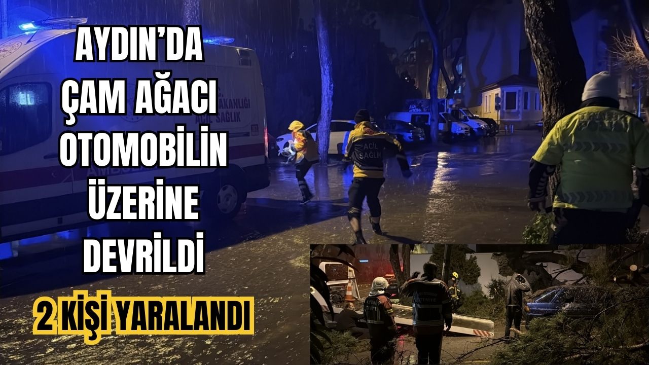 Aydın’da çam ağacı otomobilin üzerine devrildi: 2 yaralı
