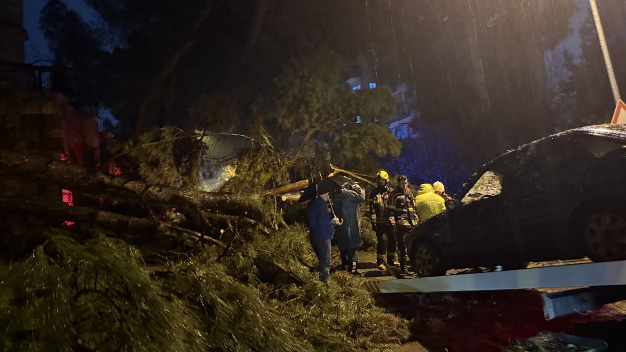 Aydın’da Çam Ağacı Otomobilin Üzerine Devrildi 2 Yaralı3