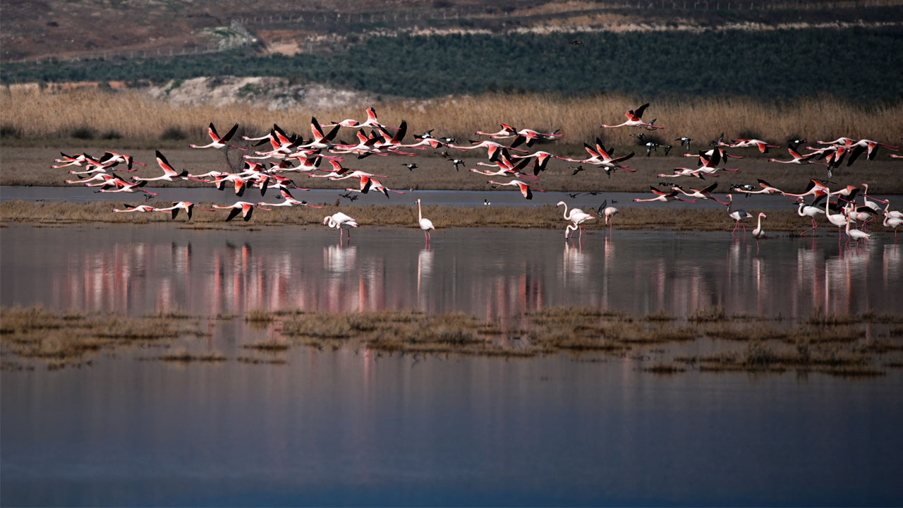 Aydın'da Saklı Cennet Foto 2