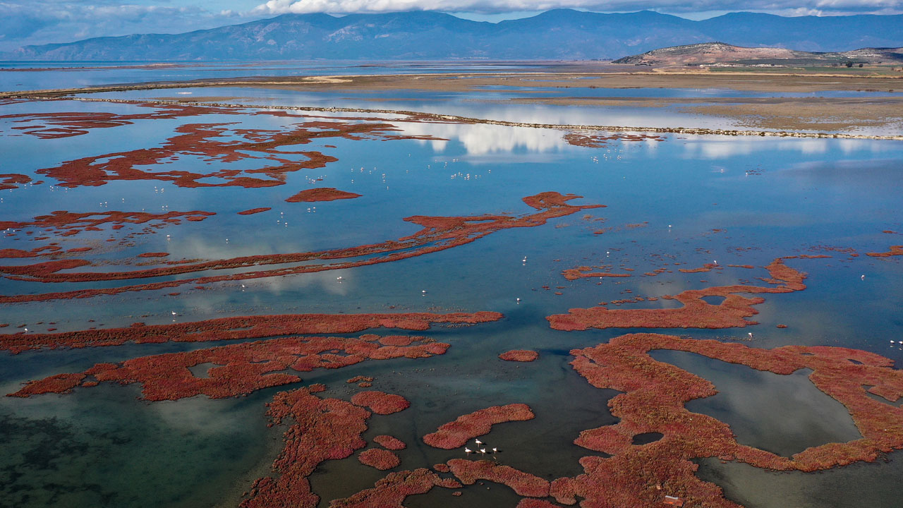 Aydın'da Saklı Cennet Foto 3