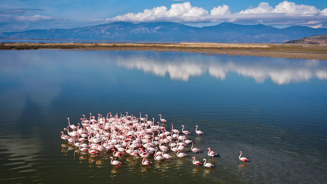 Aydın’da Saklı Cennet Foto