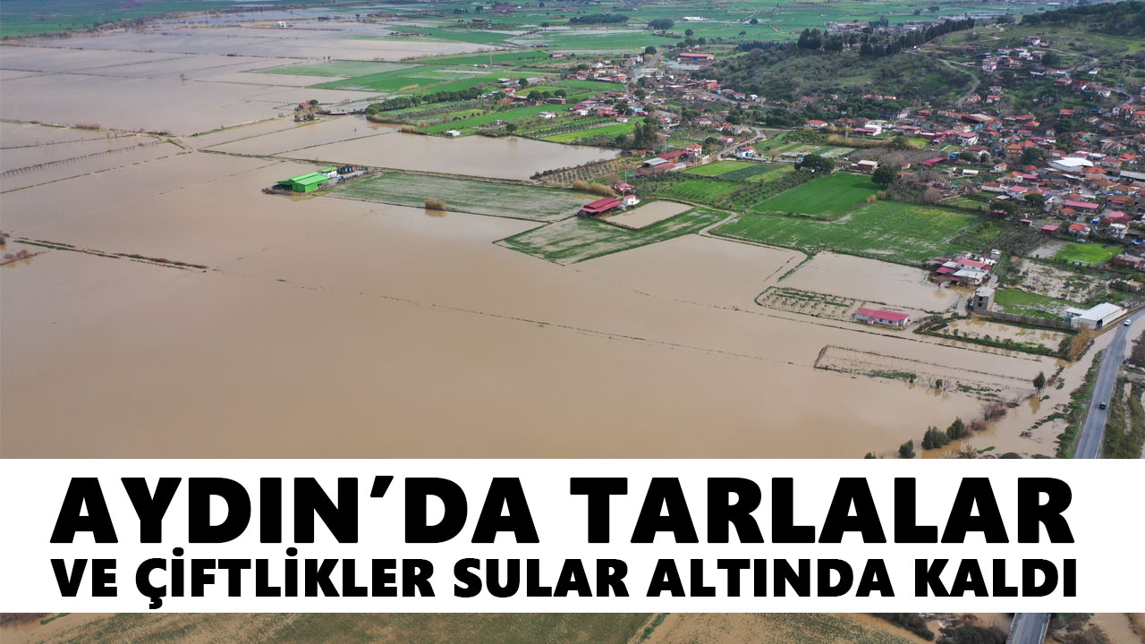 Aydın’da tarlalar ve çiftlikler sular altında kaldı