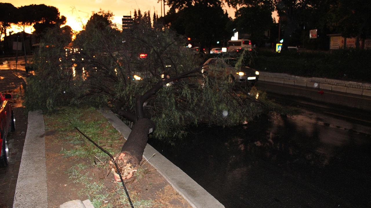 Aydın'da yaşayanlar dikkat