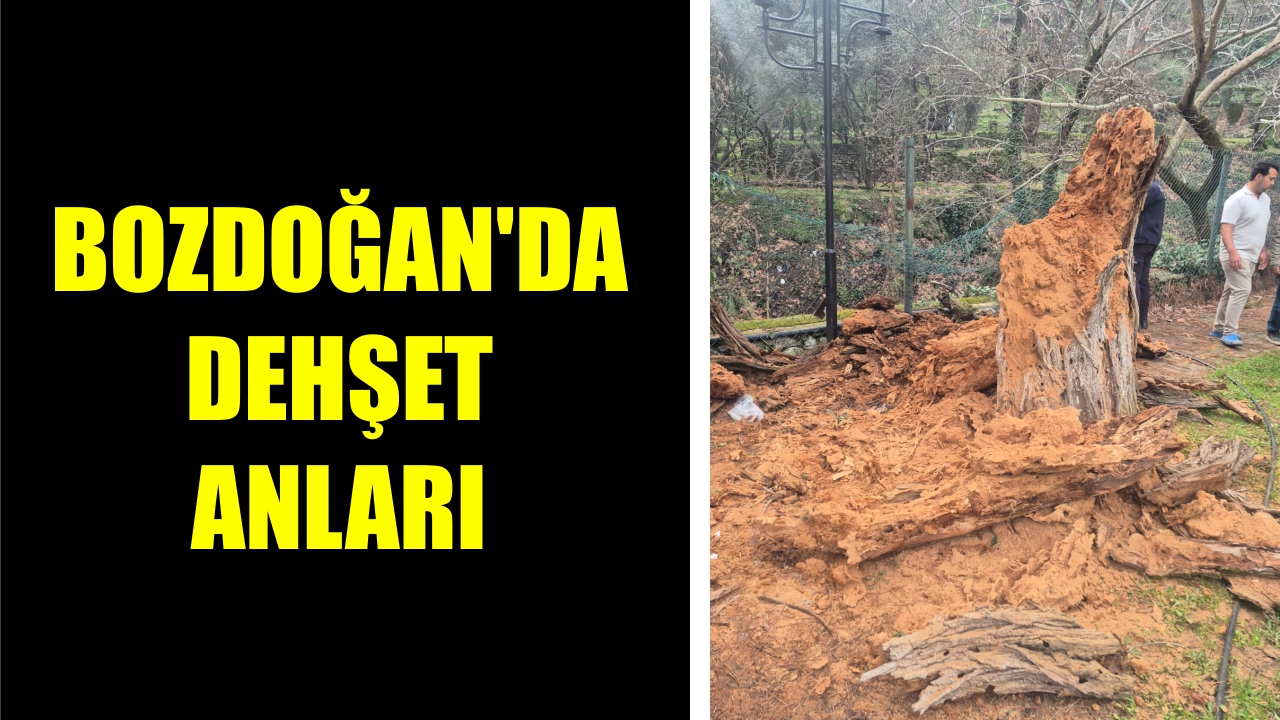 Bozdoğan'da dehşet anları