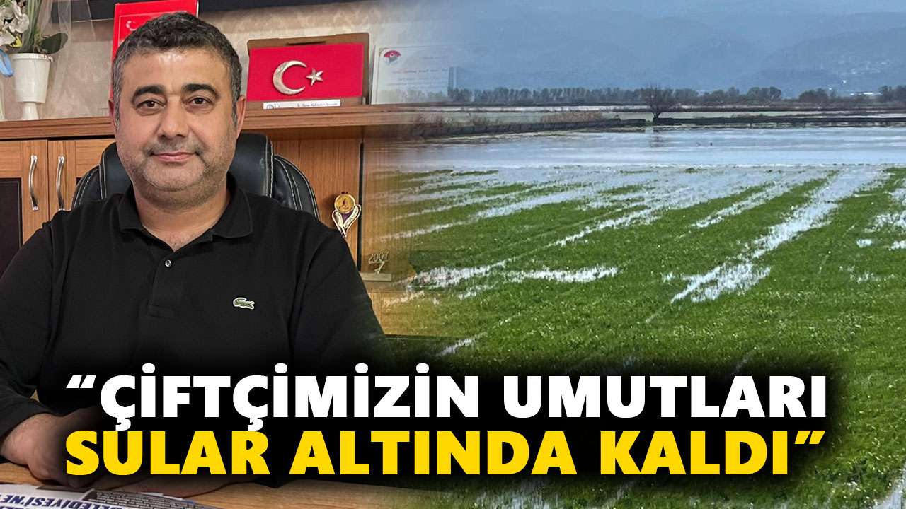 Büyük Menderes taştı: Aydın’da üreticilerin umutları sular altında kaldı