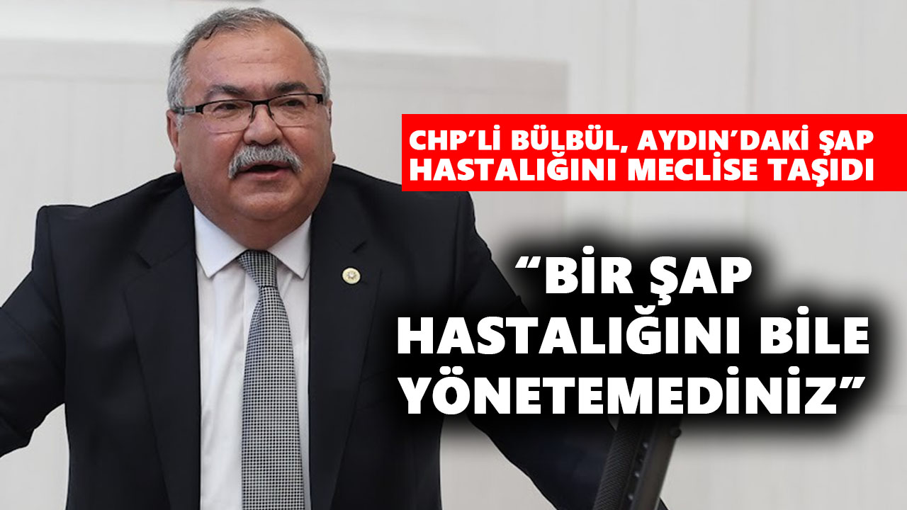 CHP’li Bülbül, Aydın’daki şap hastalığını meclise taşıdı