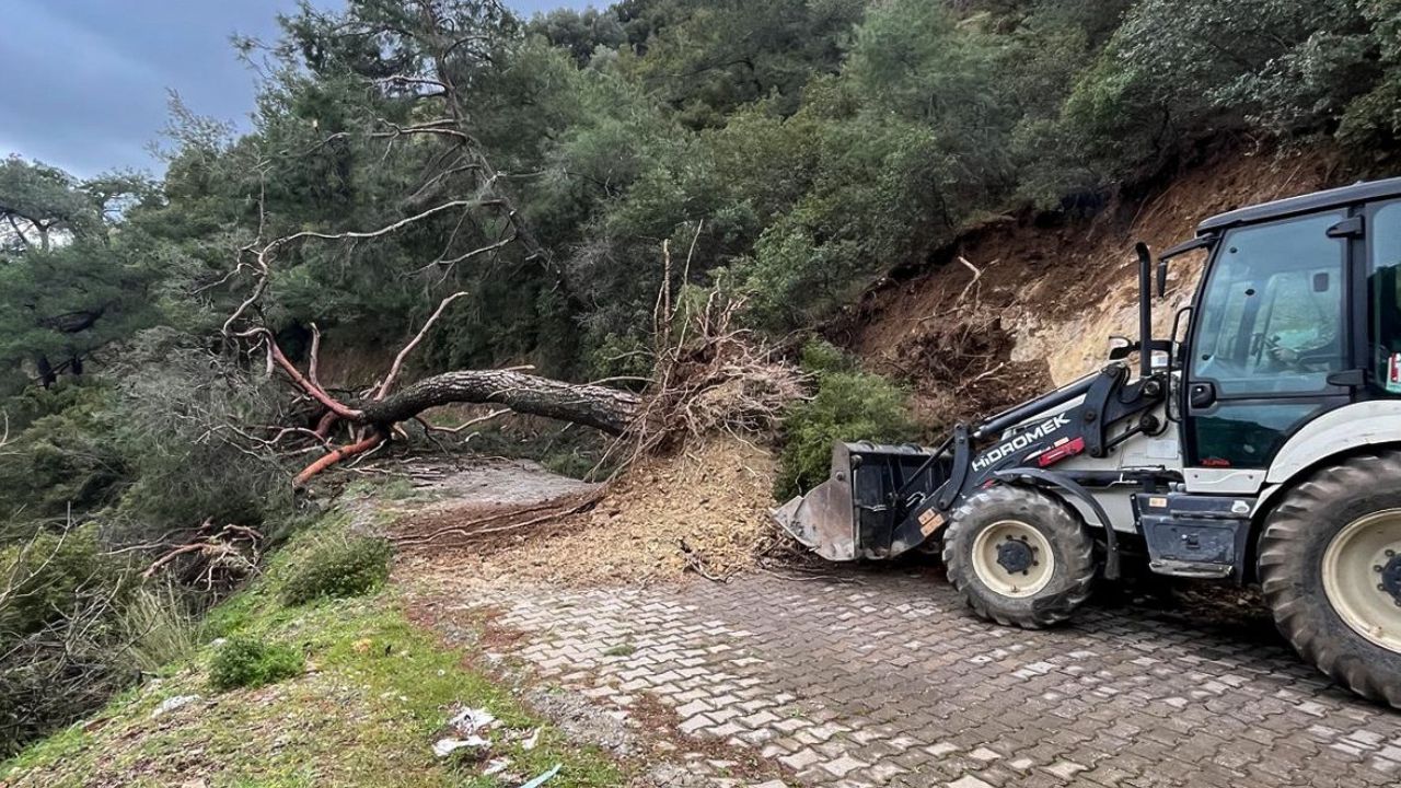 Efeler'in Kırsal Mahallesindeki Kapanan Yollar Ulaşıma Açıldı2