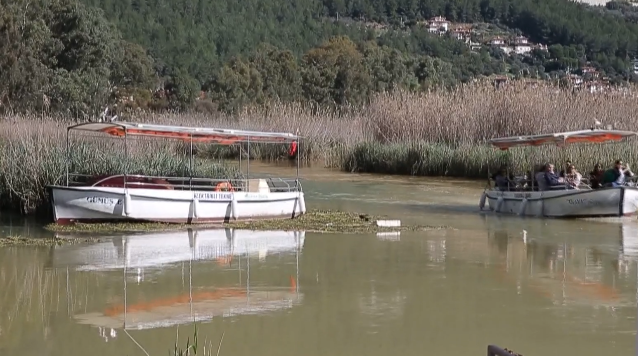 Gökova Körfezi’nin Rengi Değişti1