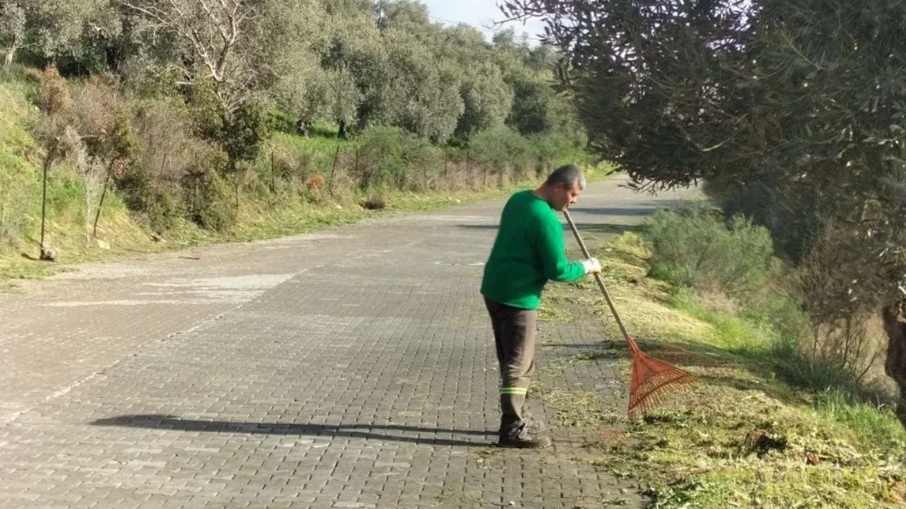 I M G 20260208 W A0004