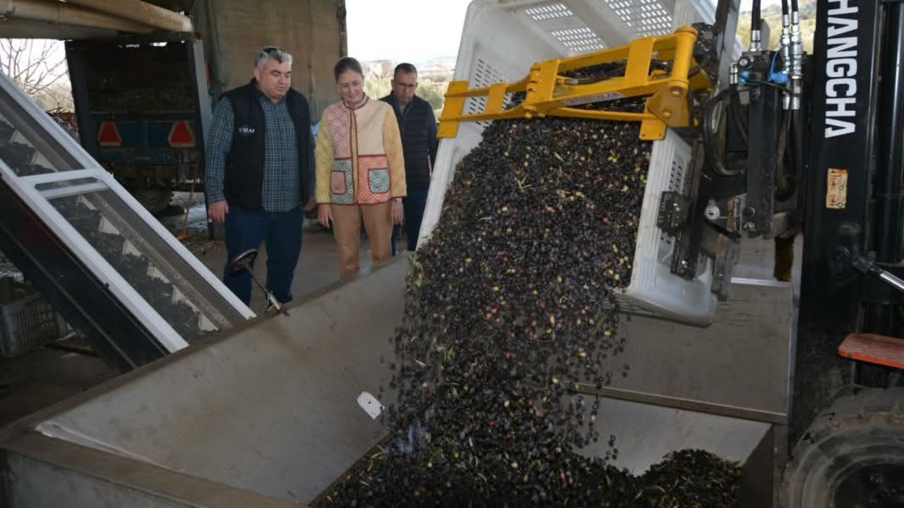 Kaymakam Kan Zeytinyağı Fabrikasını Inceledi 3