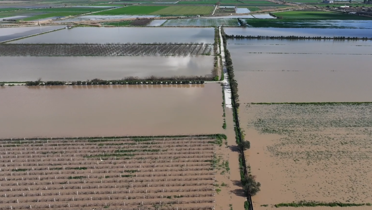 Menemen’de Tarım Arazileri Sular Altında Kaldı1