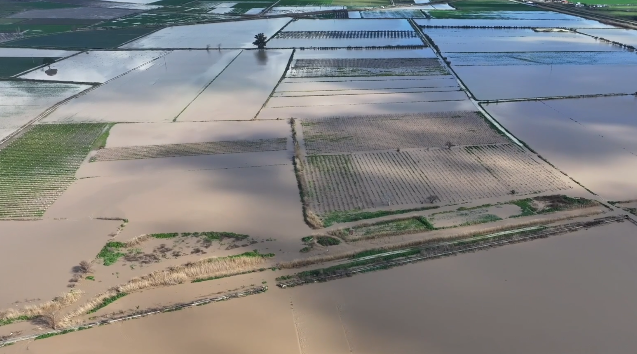 Menemen’de Tarım Arazileri Sular Altında Kaldı2