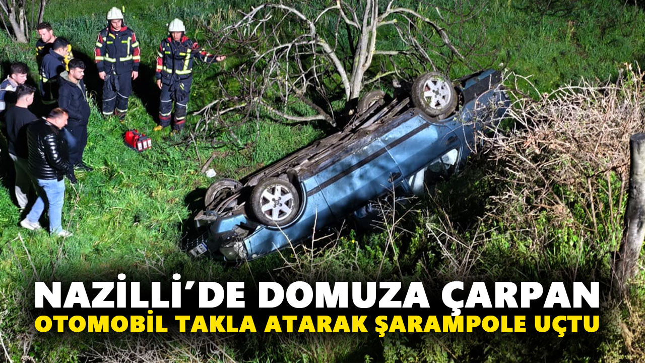 Nazilli’de domuza çarpan otomobil takla atarak şarampole uçtu