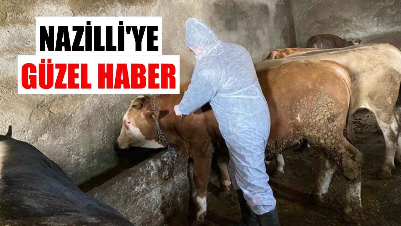Nazilli'ye güzel haber: Birçok mahallede yasak kalktı