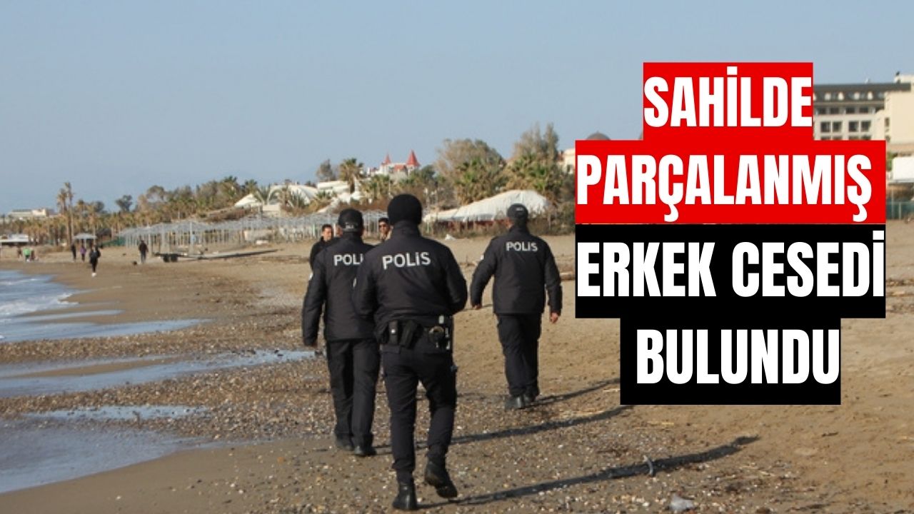 Sahilde parçalanmış erkek cesedi bulundu