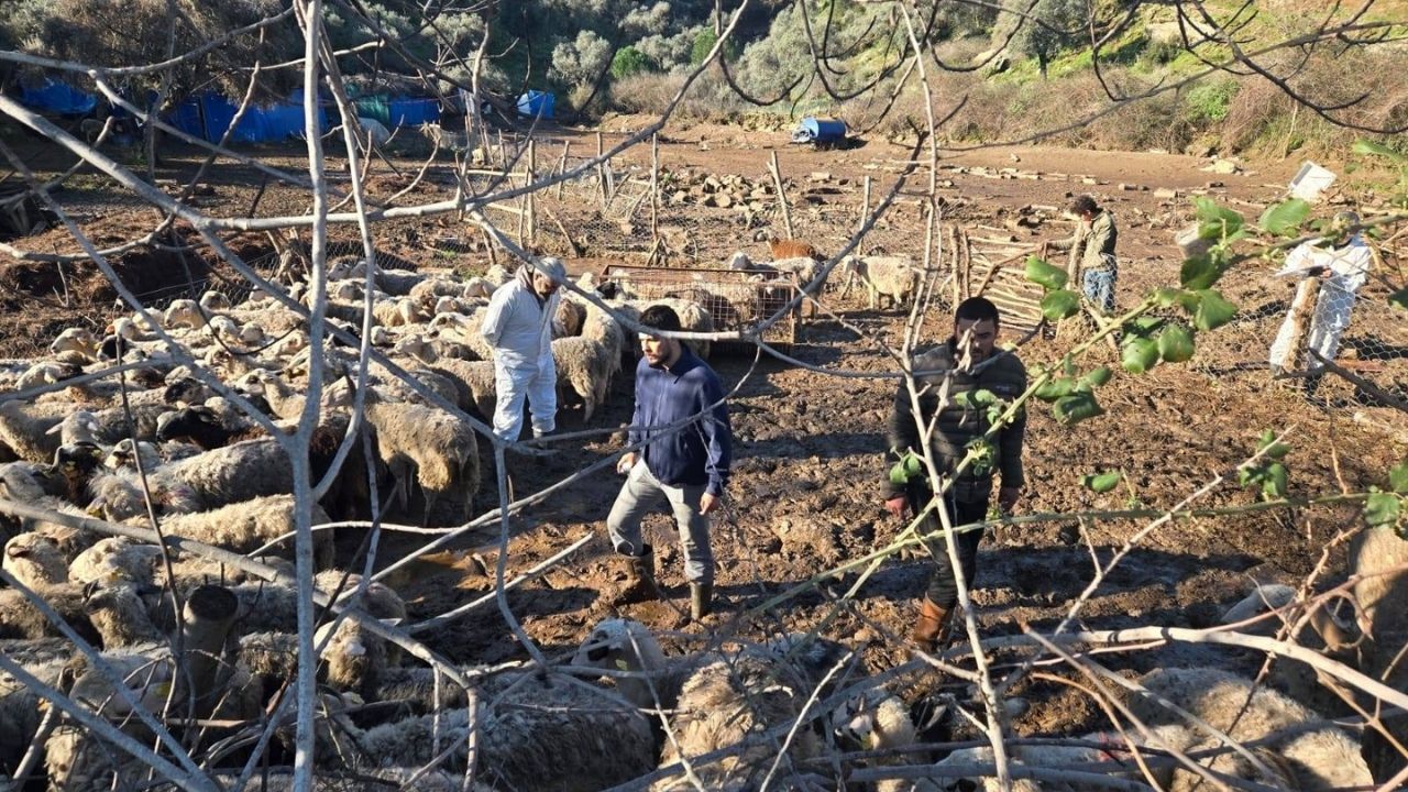 Söke’de Selin Izleri Siliniyor 01