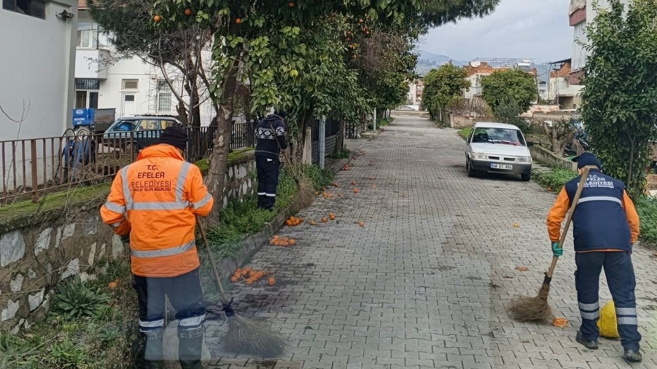 Umurlu’da Temizlik Seferberliği1