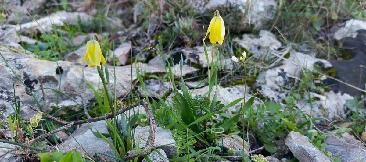 Whatsapp Image 2026 02 27 At 16.02.46