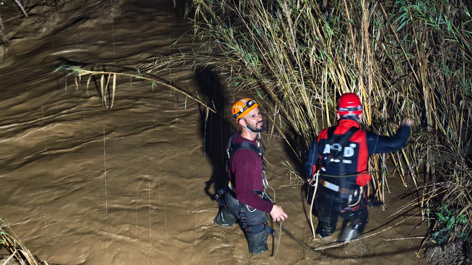 35932082 B2Ca 4274 90D3 A2632Ad2664F